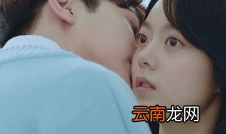 梁又年夏淼淼结局 梁又年向夏淼淼表白说什么