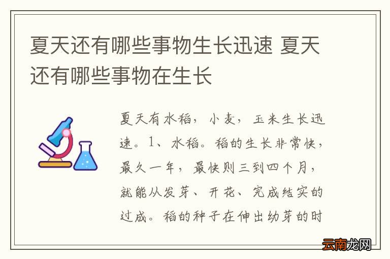 夏天还有哪些事物生长迅速 夏天还有哪些事物在生长