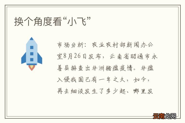 换个角度看“小飞”