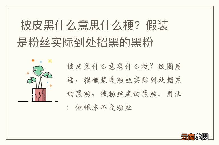 披皮黑什么意思什么梗？假装是粉丝实际到处招黑的黑粉