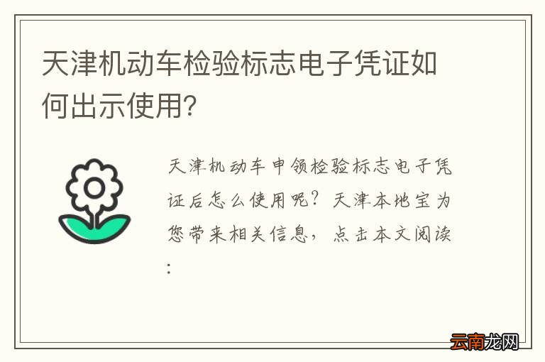 天津机动车检验标志电子凭证如何出示使用？