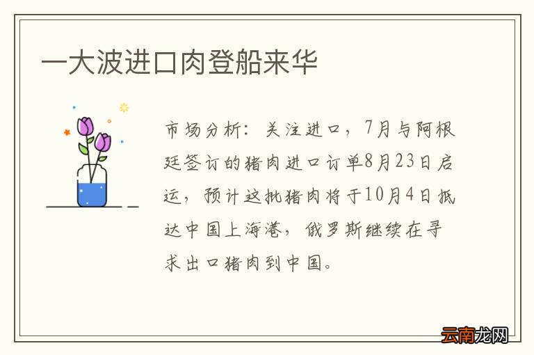 一大波进口肉登船来华