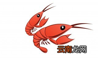 基围虾和沼虾的区别 区别可大了