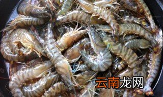 基围虾的处理方法 基围虾怎么处理干净