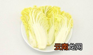 娃娃菜为什么不能吃 娃娃菜变苦原因