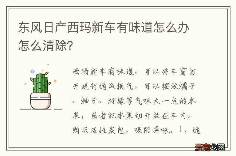 东风日产西玛新车有味道怎么办怎么清除?