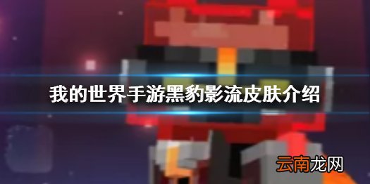 我的世界手游黑豹影流怎么样 我的世界手游黑豹影流皮肤介绍