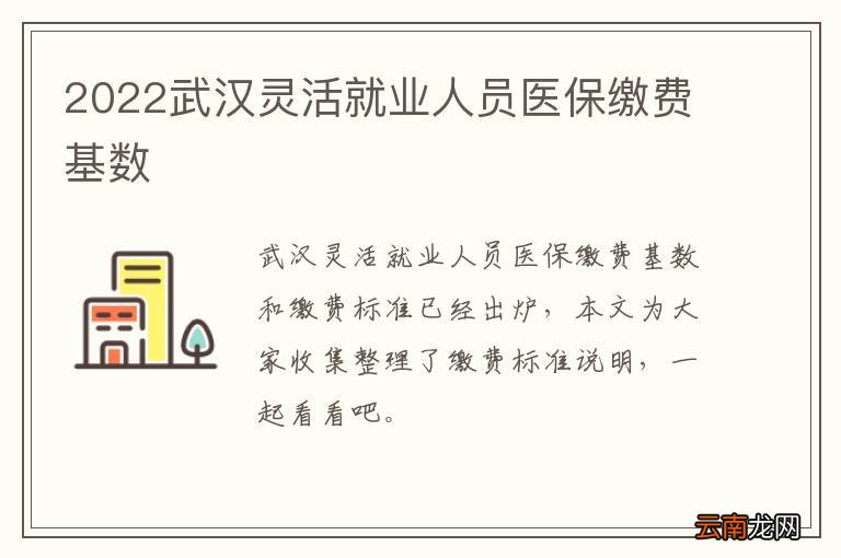 2022武汉灵活就业人员医保缴费基数