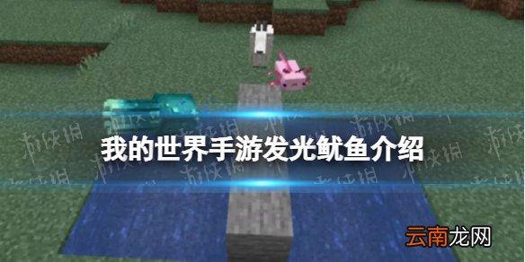 我的世界发光鱿鱼是什么 我的世界手游新生物发光鱿鱼介绍