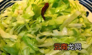 包菜可以凉拌吗 我们一起来了解