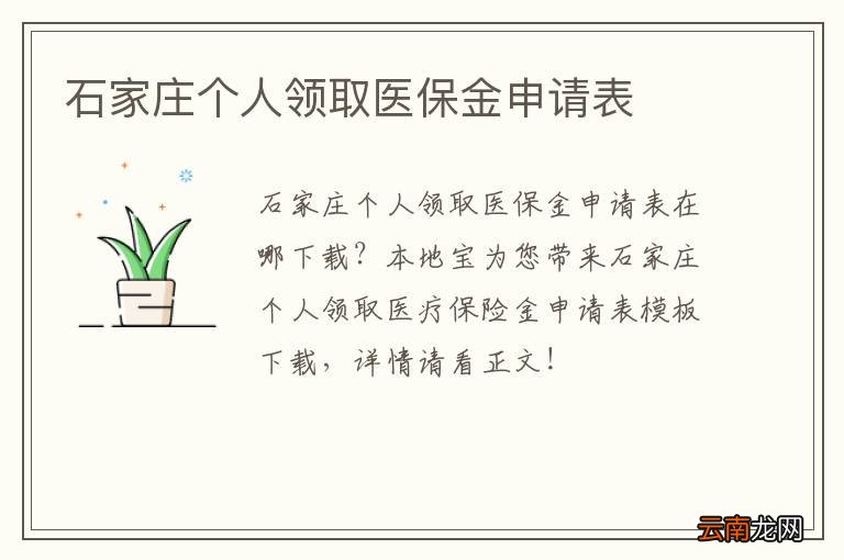 石家庄个人领取医保金申请表