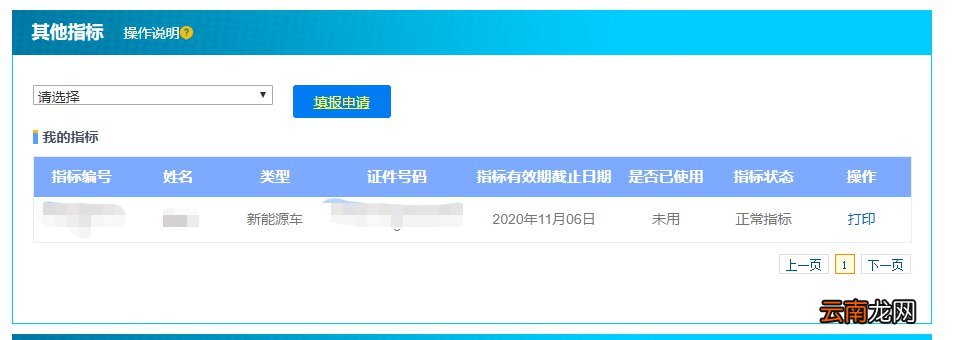 天津新能源车牌指标网上申请流程