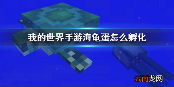 我的世界手游海龟蛋怎么孵化 我的世界手游海龟蛋孵化方法