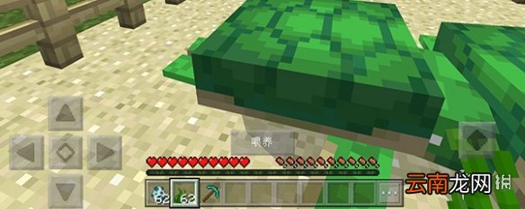我的世界手游海龟蛋怎么孵化 我的世界手游海龟蛋孵化方法