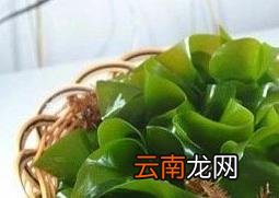 海带的药用功效