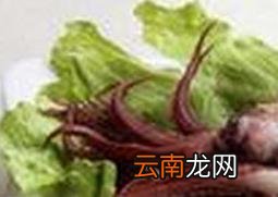 籽乌的功效与作用 吃籽乌的好处