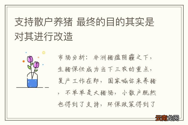 支持散户养猪 最终的目的其实是对其进行改造