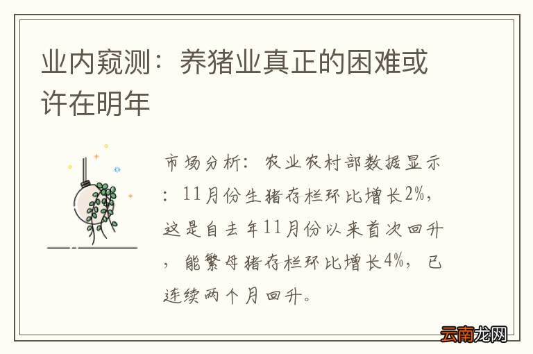 业内窥测：养猪业真正的困难或许在明年