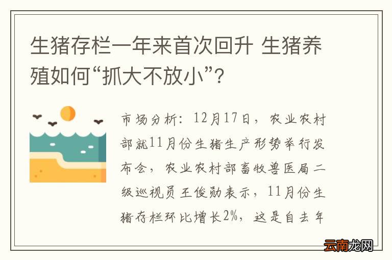 生猪存栏一年来首次回升 生猪养殖如何“抓大不放小”?