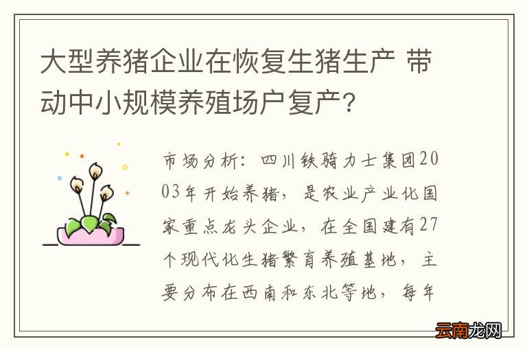 大型养猪企业在恢复生猪生产 带动中小规模养殖场户复产?