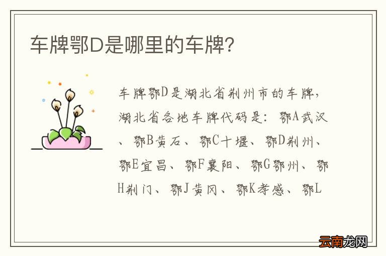 车牌鄂D是哪里的车牌？