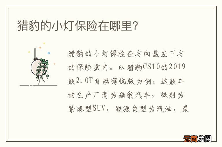 猎豹的小灯保险在哪里？