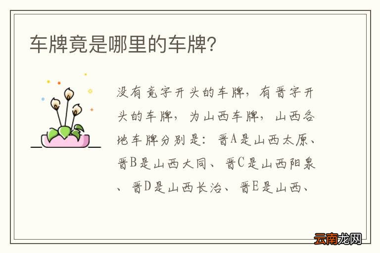 车牌竟是哪里的车牌？