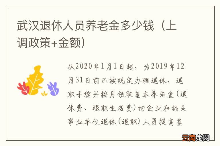 上调政策+金额 武汉退休人员养老金多少钱
