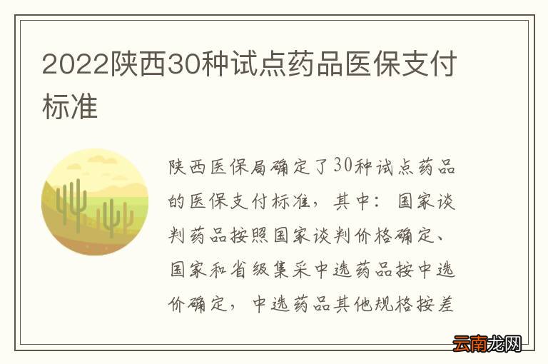 2022陕西30种试点药品医保支付标准