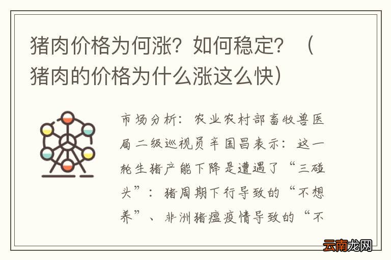 猪肉的价格为什么涨这么快 猪肉价格为何涨？如何稳定？