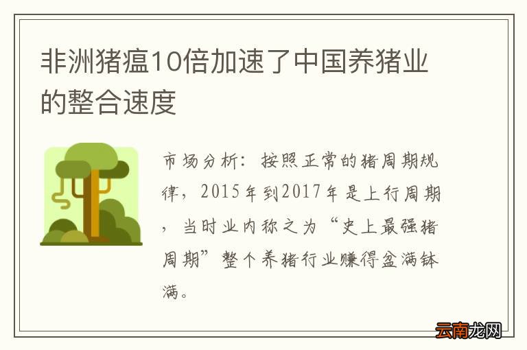 非洲猪瘟10倍加速了中国养猪业的整合速度