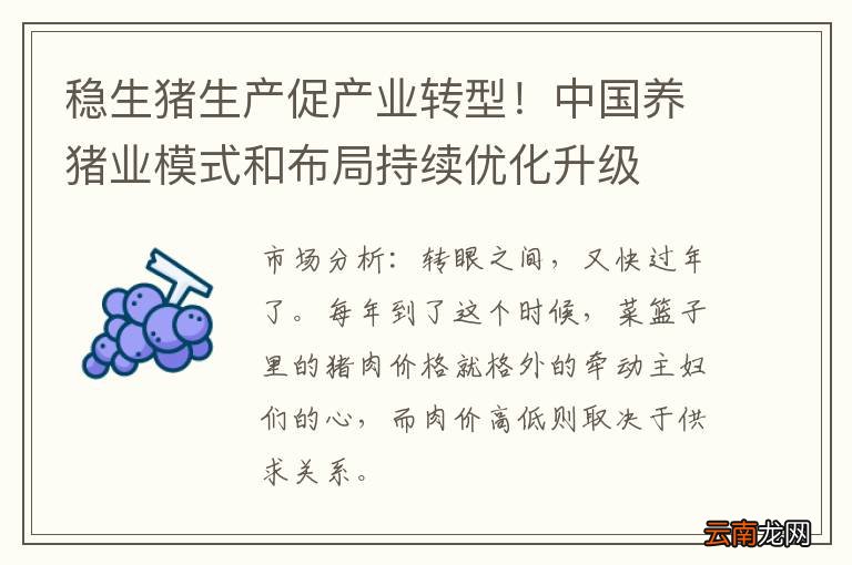 稳生猪生产促产业转型！中国养猪业模式和布局持续优化升级