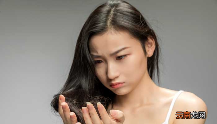 头发的故事主要内容 头发的故事主要内容是什么