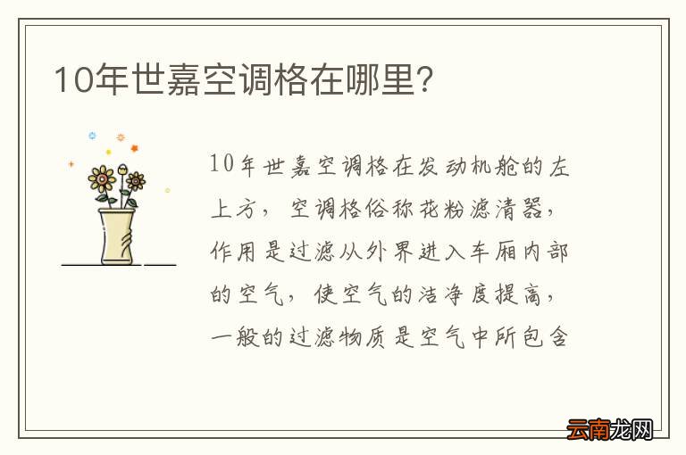 10年世嘉空调格在哪里?