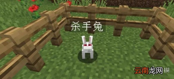 我的世界手游杀手兔指令一览 我的世界手游怎么召唤杀手兔