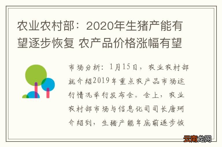 农业农村部：2020年生猪产能有望逐步恢复 农产品价格涨幅有望回
