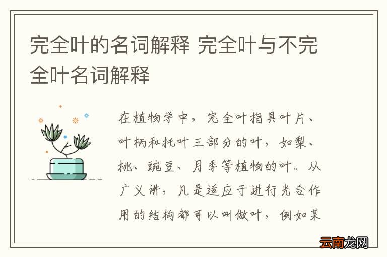 完全叶的名词解释 完全叶与不完全叶名词解释