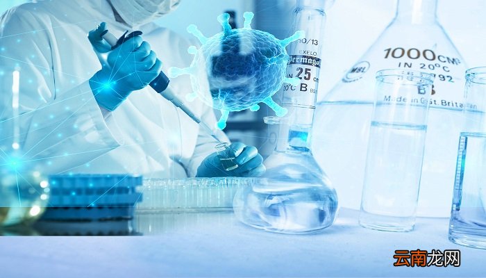 细胞的吞噬活动对人体有何意义 细胞吞噬活动对生物体的意义