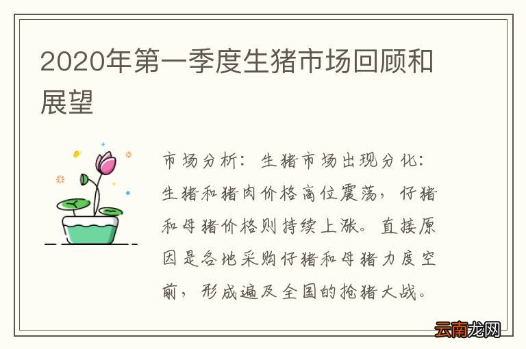 2020年第一季度生猪市场回顾和展望