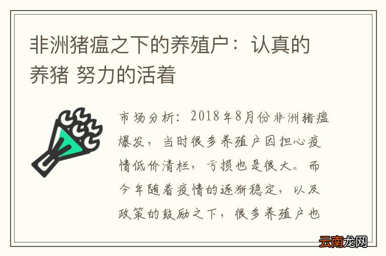 非洲猪瘟之下的养殖户：认真的养猪 努力的活着