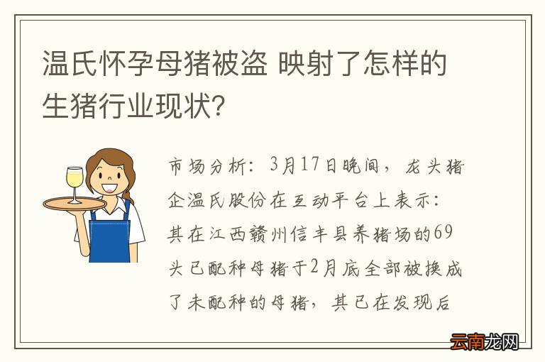 温氏怀孕母猪被盗 映射了怎样的生猪行业现状？