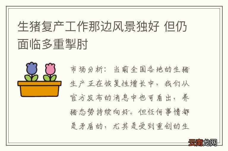 生猪复产工作那边风景独好 但仍面临多重掣肘