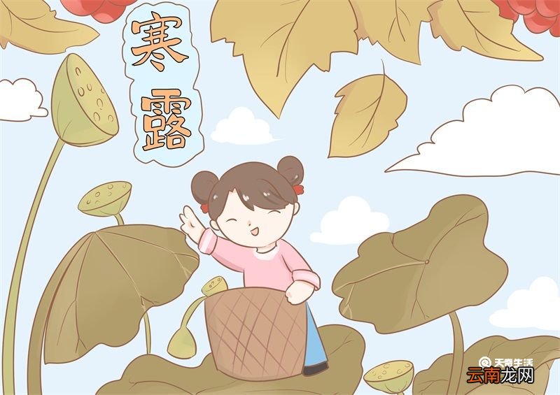 寒露儿童简笔画 寒露儿童简笔画简洁