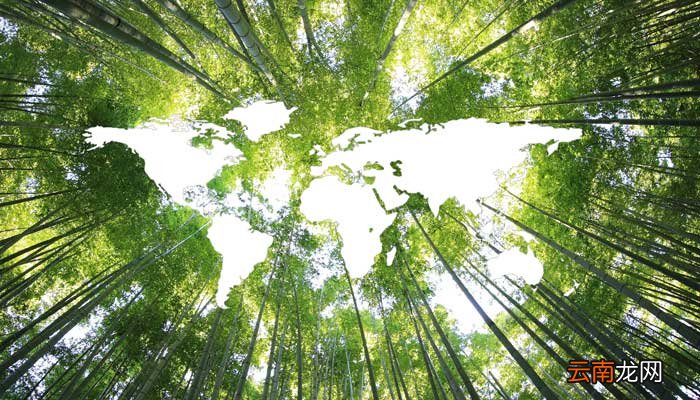 就是拯救未来的前一句 就是拯救未来的前一句是什么