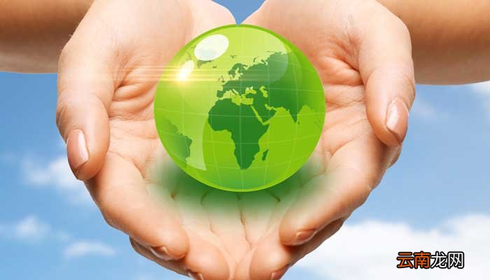 就是拯救未来的前一句 就是拯救未来的前一句是什么