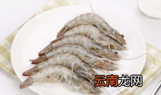 怎么挑选虾 挑选虾小技巧
