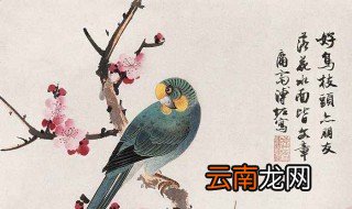 形容枝头鸟的唯美句子 有哪些语句