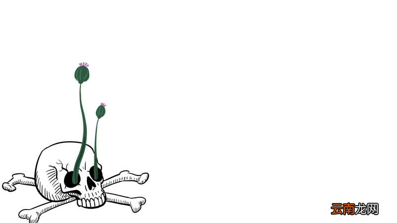 禁毒手抄报 禁毒的手抄报