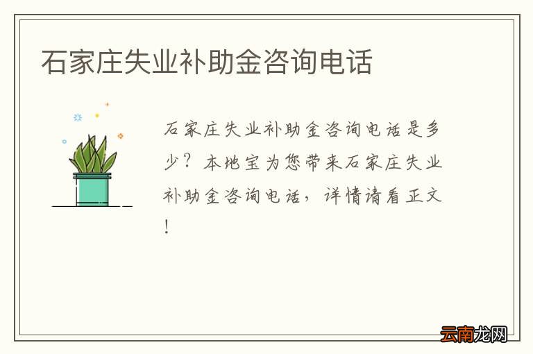 石家庄失业补助金咨询电话