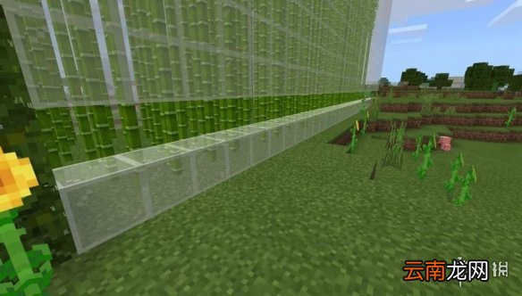 我的世界手游竹子农场怎么建 我的世界手游竹子农场建造图文攻略